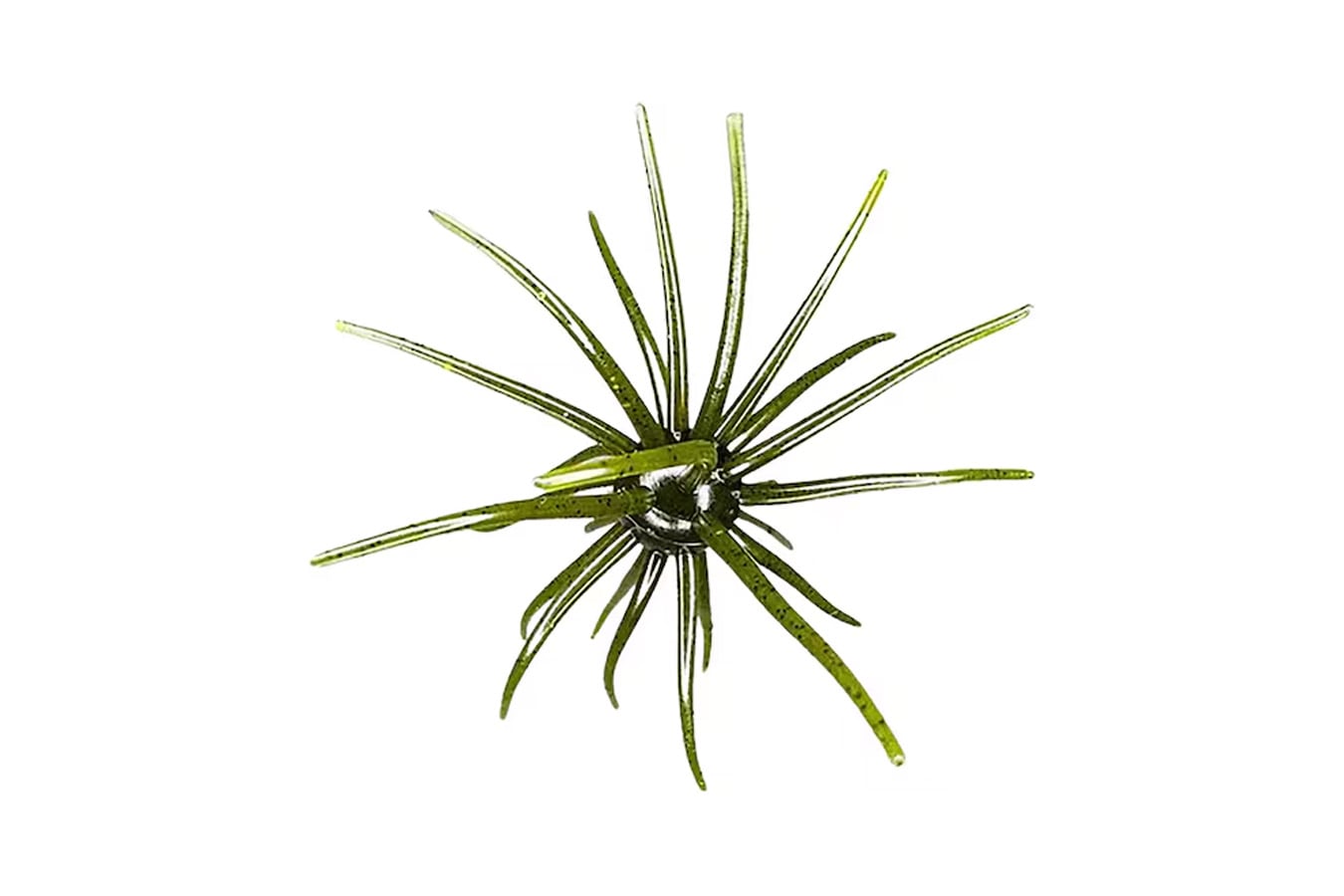 HAGS Prickly Pear Big Tex 25MM Urchin Bait